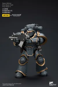 JOYTOY Space Wolves Grey Slayer Pack Grey Slayer3 - Warhammer 40K - photo 3