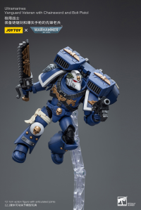 Ultramarines Vanguard Veteran with Chainsword and Bolt Pistol 9
