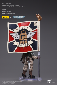 Astra Militarum Cadian Command Squad Veteran with Regimental Standard 3
