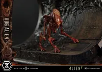 Prime 1 Studio Museum Masterline XL Alien 3 (Film) Dog Alien Deluxe Version - Alien (Movie Franchise) - photo 29