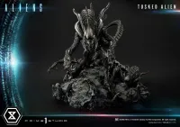 Prime 1 Studio Premium Masterline Aliens (Comics) Tusked Alien Bonus Version - Alien (Movie Franchise) - photo 35