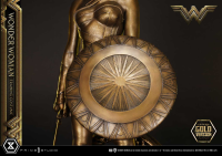Museum Masterline Wonder Woman (Film) Wonder Woman Training Costume Gold Version 25
