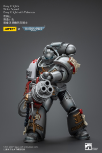 Grey Knights Strike Squad Grey Knight with Psilencer 7