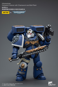Ultramarines Vanguard Veteran with Chainsword and Bolt Pistol 5