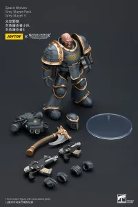 JOYTOY Space Wolves Grey Slayer Pack Grey Slayer3 - Warhammer 40K - photo 4