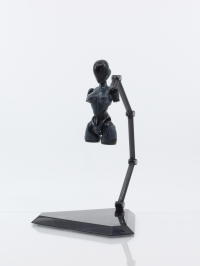 1/12 scale assembly plastic model　Animacircuit Vio the Rabbit			 9