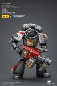 Grey Knights Strike Squad Grey Knight with Psycannon 6