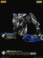 AMTS IB-16 HERMES EVO 10