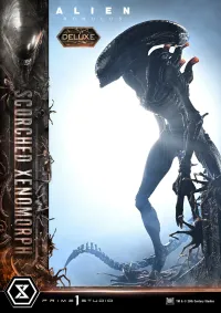 Prime 1 Studio Museum Masterline XL Alien: Romulus Scorched Xenomorph Deluxe Version - Alien (Movie Franchise) - photo 19