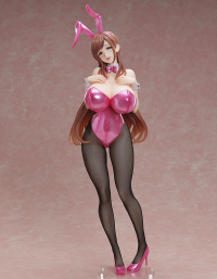 Minako Sanada Bunny Ver. 8