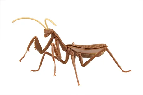 Fujimi [FI No.23 EX-1]  Biology Edition Big Mantis (Brown) - Original Series