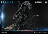 Prime 1 Studio Premium Masterline Aliens (Comics) Warrior Alien DX Bonus Version - Alien (Movie Franchise) - photo 76