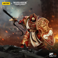 Blood Angels Crimson Paladins Squad Crimson Exemplar 14