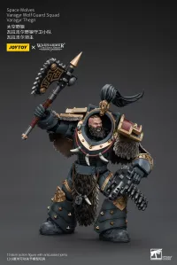 JOYTOY Space Wolves Varagyr Wolf Guard Squad Varagyr Thegn - Warhammer 40K - photo 4