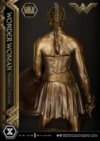 Prime 1 Studio Museum Masterline Wonder Woman (Film) Wonder Woman Training Costume Gold Version - DC Comics - photo 22