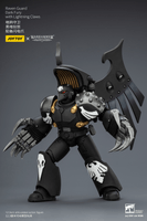 Raven Guard Dark Fury with Lightning Claws 15