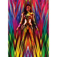 Wonder Woman Golden Armor (WW84) Wonder Woman 1984, Bandai Spirits S.H.Figuarts 5
