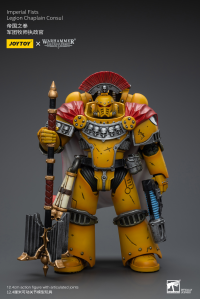 Imperial Fists Legion Chaplain Consul 1