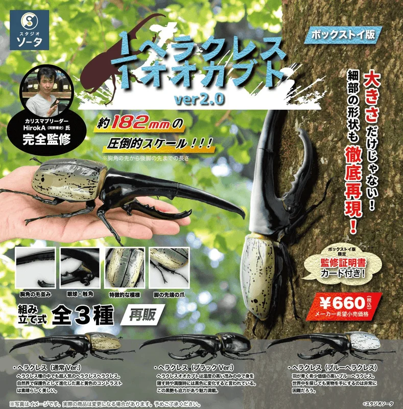 SO-TA 1/1 Hercules Beetle ver2.0 (Box of 4) - Blind Boxes