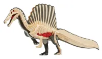 MegaHouse Spinosaurus Puzzle , Megahouse Kaitai Puzzle - Kaitai Puzzle - photo 2