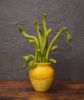 figma Sunflowers by Van Gogh 7