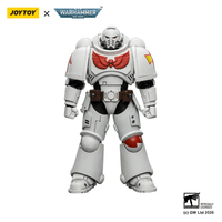 White Scars Intercessor with Bolt Rifle, Bolt Pistol and Chainsword 7