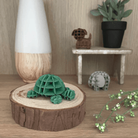 si-gu-mi PLUS Dick Bruna Turtle 3
