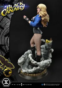 Prime 1 Studio Museum Masterline DC Comics Black Canary - DC Comics - photo 19