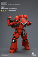 Blood Angels Intercessor with Bolt Rifle, Bolt Pistol and Chainsword 22
