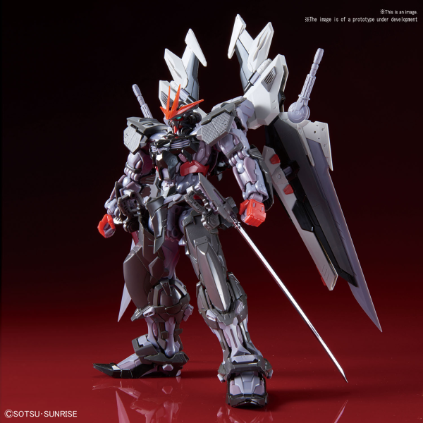 Hi-RESOLUTION MODEL 1/100 GUNDAM ASTRAY NOIR