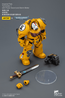 Imperial Fists Terminator 1 with Power Sword and Storm Bolter 20