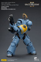 Game Edition Space Wolves Heavy Intercessor with Heavy Bolt Rifle and Bolt Pistol 18