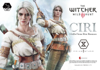 Museum Masterline The Witcher 3: Wild Hunt Ciri Fiona Elen Riannon Bonus Version 53