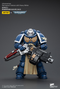 Ultramarines Sternguard Veteran with Heavy Bolter 1
