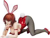 Ryoko Mikado: Bunny Ver. 2