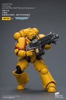 Imperial Fists Intercessor with Bolt Rifle, Bolt Pistol and Chainsword 21