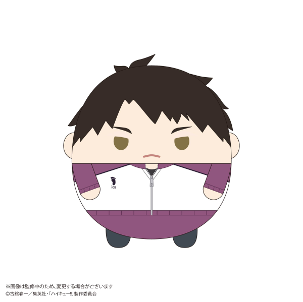 Haikyu!! FUWA KORORIN Msize 9  (ITEM H)