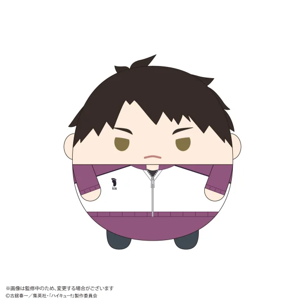 MAX LIMITED Haikyu!! FUWA KORORIN Msize 9  (ITEM H) - Haikyu!!