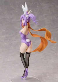 FREEing Satoko Kusagakure: Bunny Ver. - A Ninja and an Assassin Under One Roof - photo 3