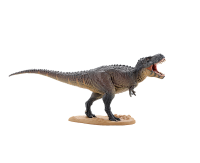 DINOSAUR MASTER３ 6