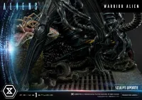 Prime 1 Studio Premium Masterline Aliens (Comics) Warrior Alien DX Bonus Version - Alien (Movie Franchise) - photo 40