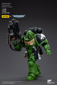 Salamanders Intercessors Brother Tol'vak 6
