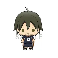 MegaHouse Haikyuu!! Vol.1 - Haikyu!! - photo 6