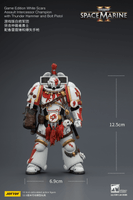 Game Edition White Scars Assault Intercessor Champion with Thunder Hammer and Bolt Pistol 14