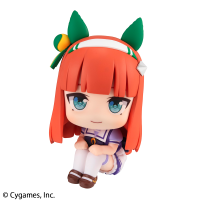 Lookup Uma Musume Pretty Derby Silence Suzuka 1