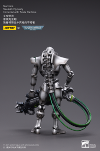 WH40K-Necrons Sautekh Dynasty Immortal with Tesla Carbine 2