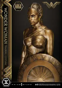 Prime 1 Studio Museum Masterline Wonder Woman (Film) Wonder Woman Training Costume Gold Version - DC Comics - photo 20