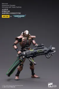 JOYTOY Necrons Szarekhan Dynasty lmmortal with Tesla Carbine [2PCS] - Warhammer 40K - photo 3