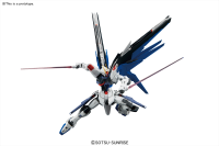 MG 1/100 FREEDOM GUNDAM Ver.2.0 3