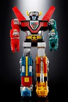 TAMASHII NATIONS VOLTRON - Beast King GoLion - photo 4